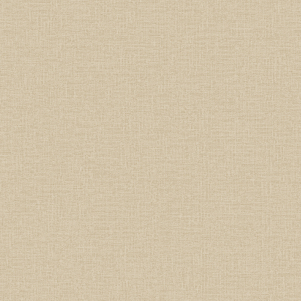 Alessandro Allori Giorgio RGI 1008-6