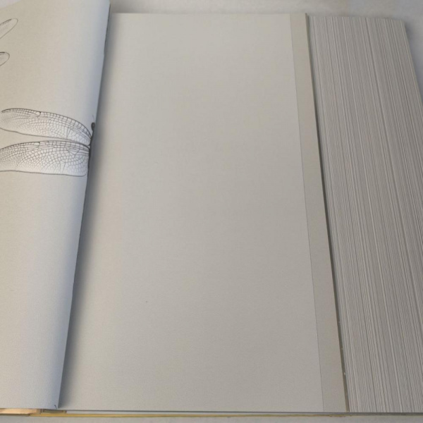 Andrea Rossi Cavolli 54424-4