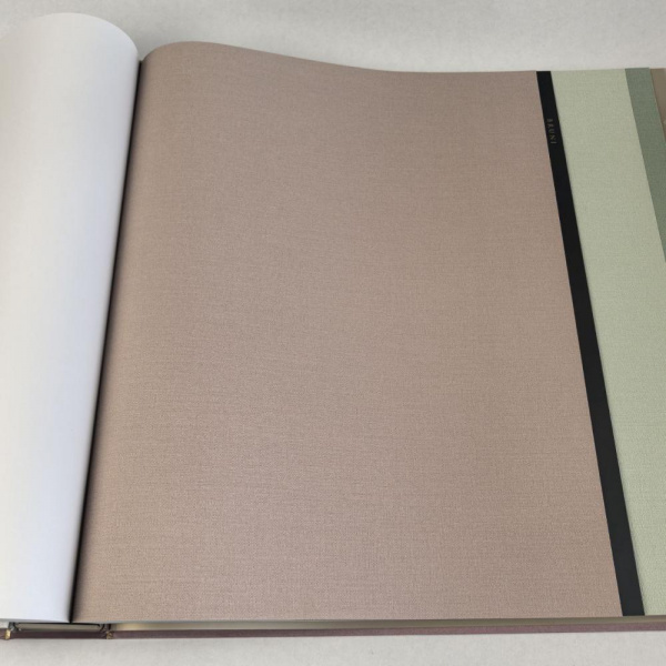 Alessandro Allori Bruni RBN 1003-9 Alessandro Allori Bruni RBN 1003-9