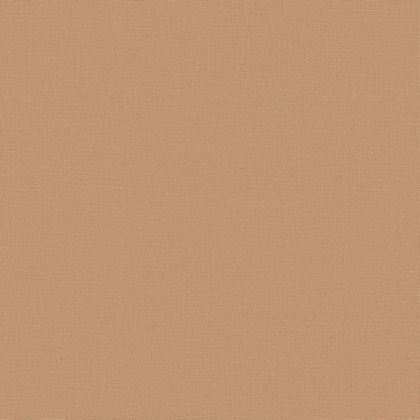 Erismann Casual Chic  ER 12143-11