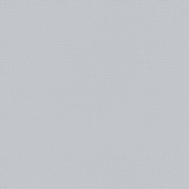 Erismann Casual Chic  ER 12143-31