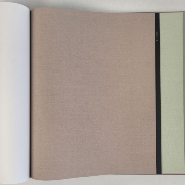 Alessandro Allori Bruni RBN 1003-9 Alessandro Allori Bruni RBN 1003-9