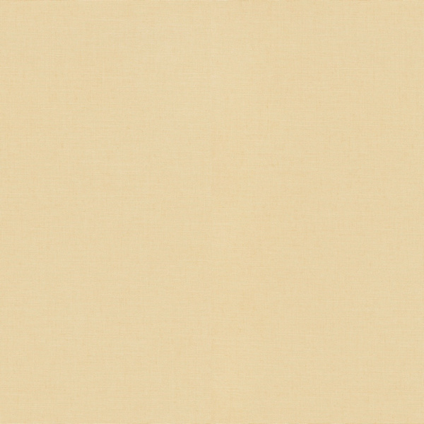 Erismann Casual Chic  ER 12143-02