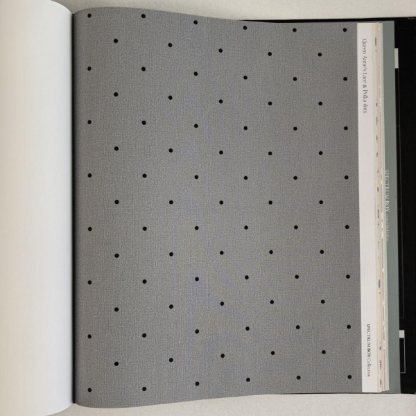 Andrea Rossi Spectrum Box 54454-25