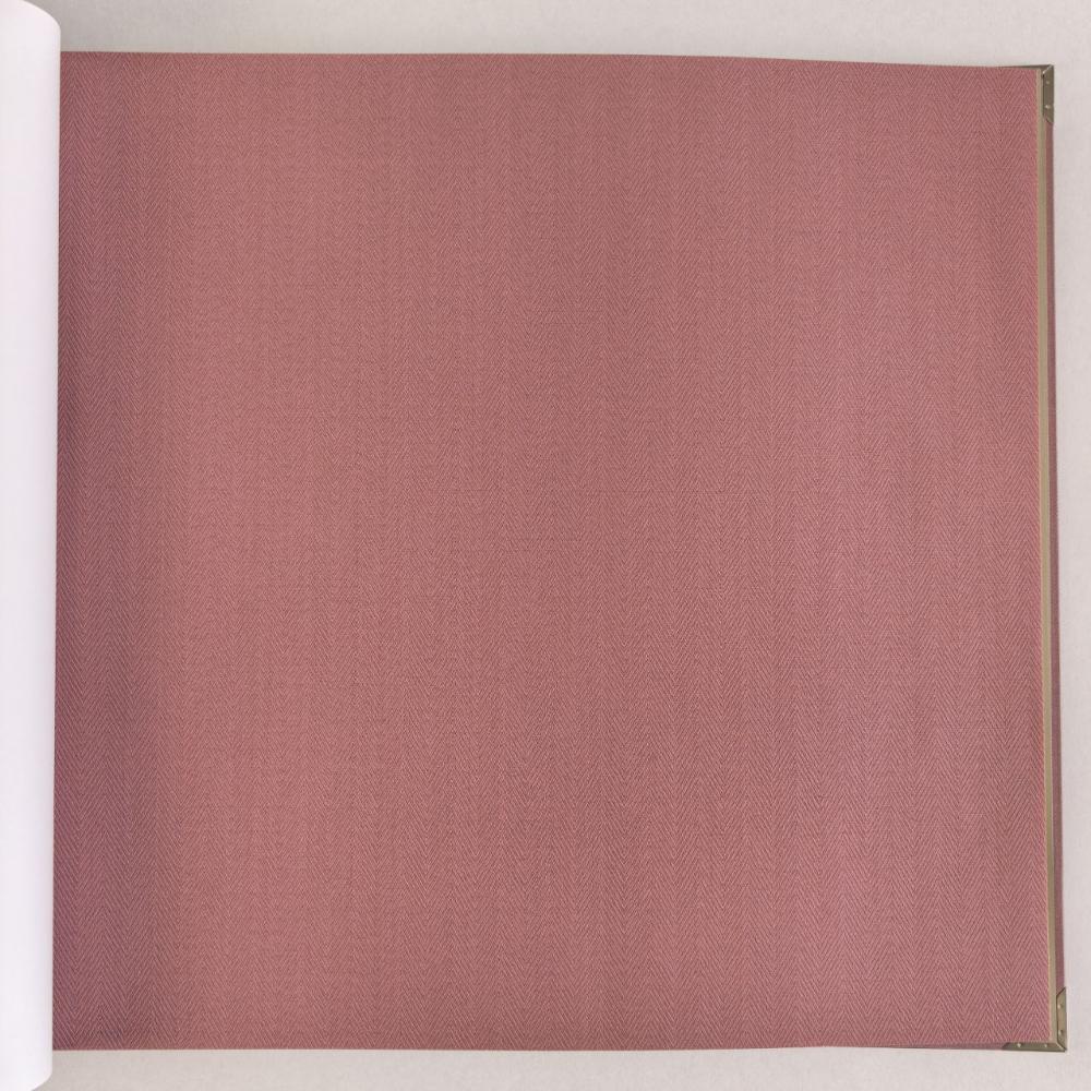 Alessandro Allori Bruni RBN 1002-21