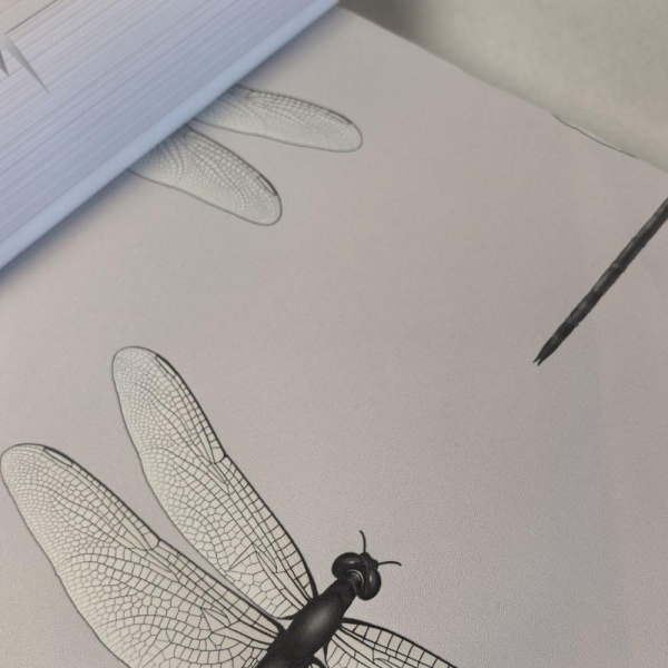 Andrea Rossi Cavolli 54426-3