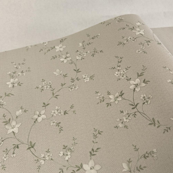 Alessandro Allori Bruni RBN 1001-2